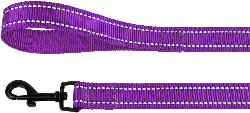 Nylon Dog Leash 5Ft for Daily Outdoor Walking Running Training Heavy Duty Reflective Pet Leashes for Large, Medium & Small Dogs